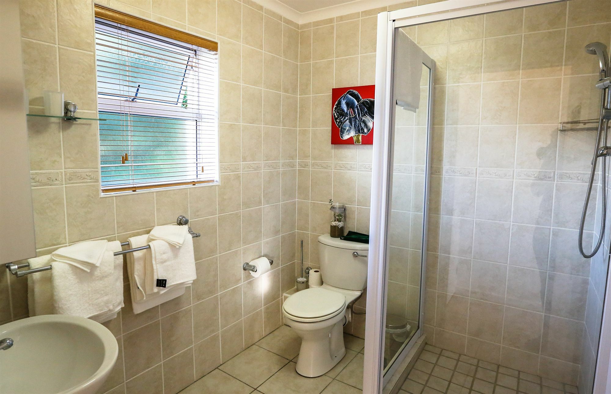 Secret Garden Guesthouse Bloubergstrand Exterior foto